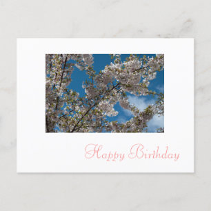 Cartão Postal cereja rosa flores floridas feliz aniversário