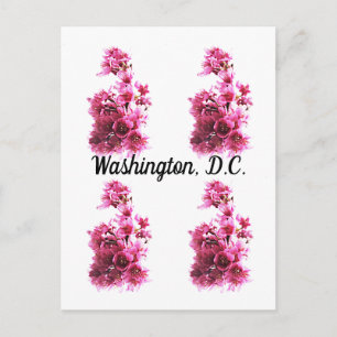 Cartão Postal Cerejeiras em flor em Washington, D.C.