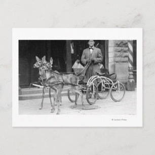 Cartão Postal Cerveja treinada, presa a uma saliência estranha 