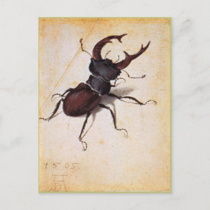Cartão Postal Cervus Lucanus por Albrecht Durer