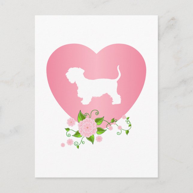 Cartão Postal Cesky Terrier (Frente)