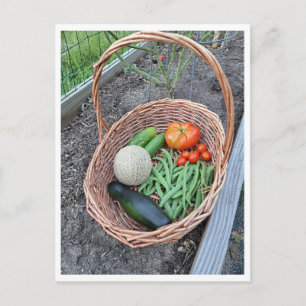 Cartão Postal Cesta contendo colheita fresca de vegetais