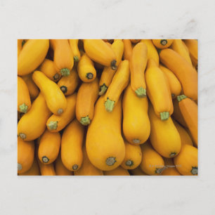 Cartão Postal Cesta do abobrinha amarelo