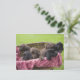 Cartão Postal Cesto de cachorros labradores (Em pé/Frente)