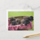 Cartão Postal Cesto de cachorros labradores (Frente/Verso In Situ)
