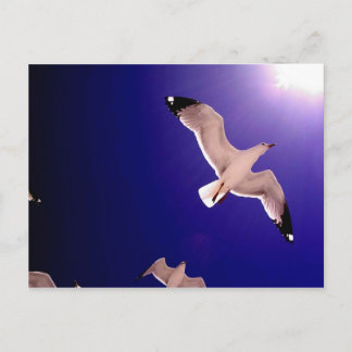 Cartão Postal céu abre