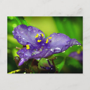 Cartão Postal Céu azul