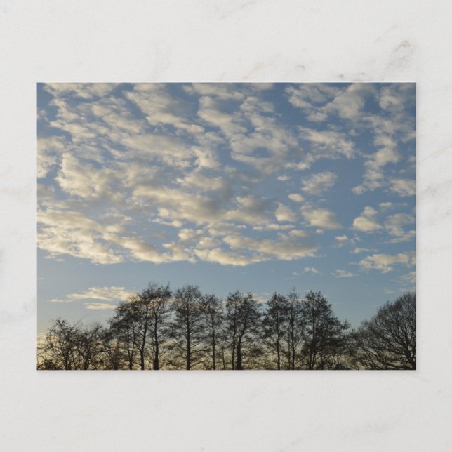 Cartão Postal Céu de inverno (Frente)