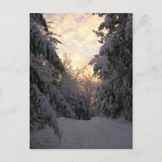 Cartão Postal Céu de inverno