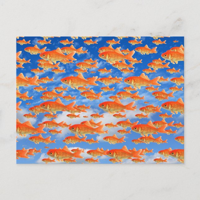 Cartão Postal Céu do peixe dourado (Frente)
