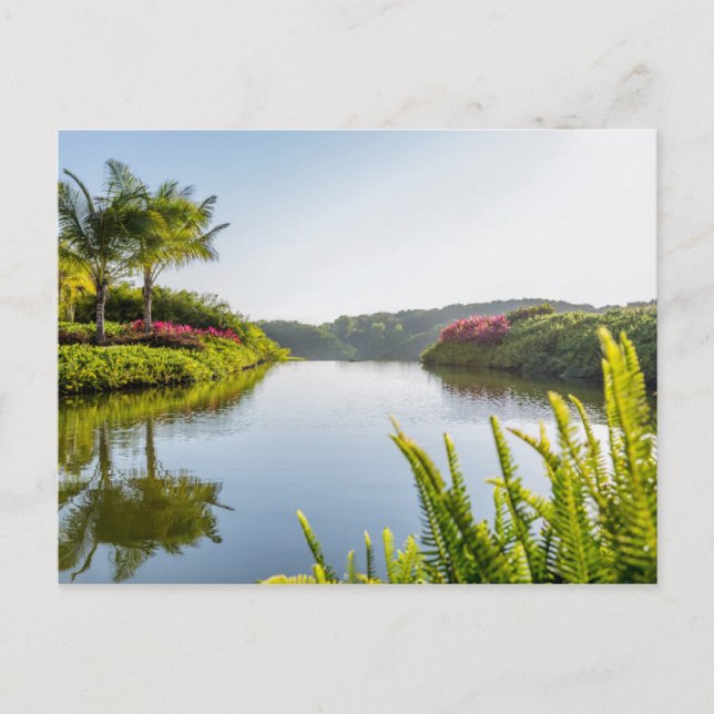 Cartão Postal Céu Refletido Em Lago Tropical (Frente)