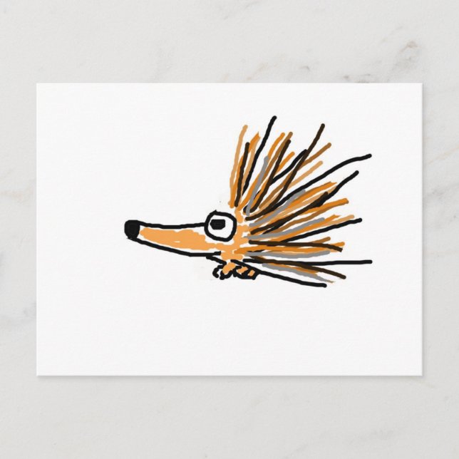 Cartão Postal CF- Funky Porcupine (Frente)