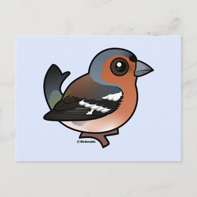 Cartão Postal Chaffinch (Frente)