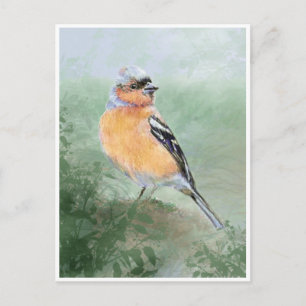 Cartão Postal Chaffinch, Watercolor Bird Collection