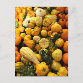 Cartão Postal Chall Gourds