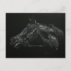 Cartão Postal Chamada