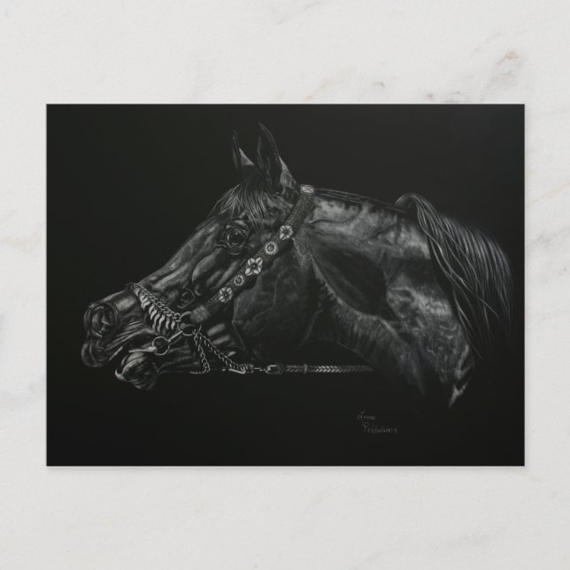 Cartão Postal Chamada (Frente)