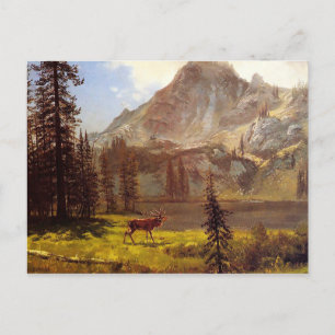 Cartão Postal Chamada da Natureza por Albert Bierstadt 1876–77