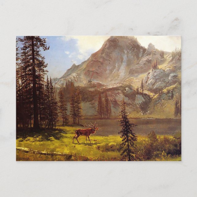 Cartão Postal Chamada da Natureza por Albert Bierstadt 1876–77 (Frente)