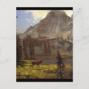 Cartão Postal Chamada dos Wild - Albert Bierstadt
