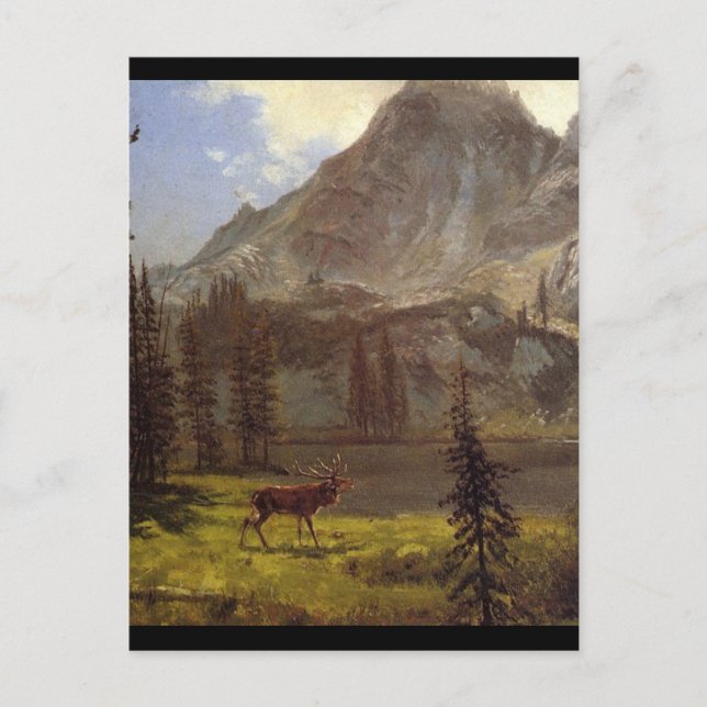 Cartão Postal Chamada dos Wild - Albert Bierstadt (Frente)