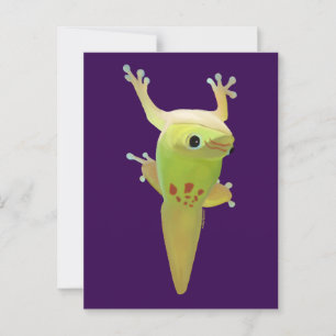 Cartão Postal Chamam-me dedos pegajosos! DIA GECKO