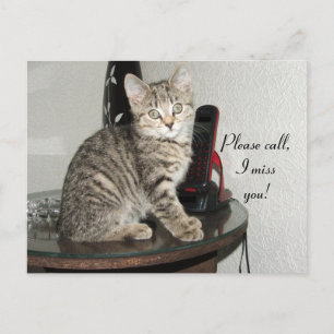 Cartão Postal Chame o Gatinho