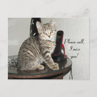 Cartão Postal Chame o Gatinho