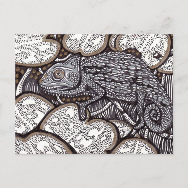 Cartão Postal Chameleon (Frente)