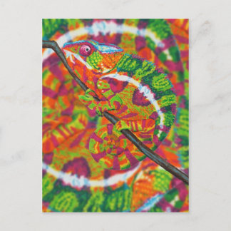 Cartão Postal Chaméon oculto