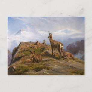 Cartão Postal Chamois por Rosa Bonheur Cartão-postal