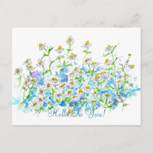 Cartão Postal Chamomile Daisy Garden Olá Para Você