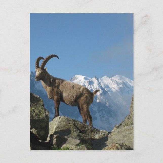 Cartão Postal Chamonix (Frente)