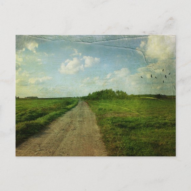 Cartão Postal Champaign (Frente)