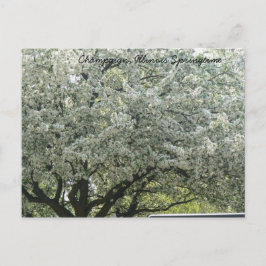 Cartão Postal Champaign, Illinois Springtime