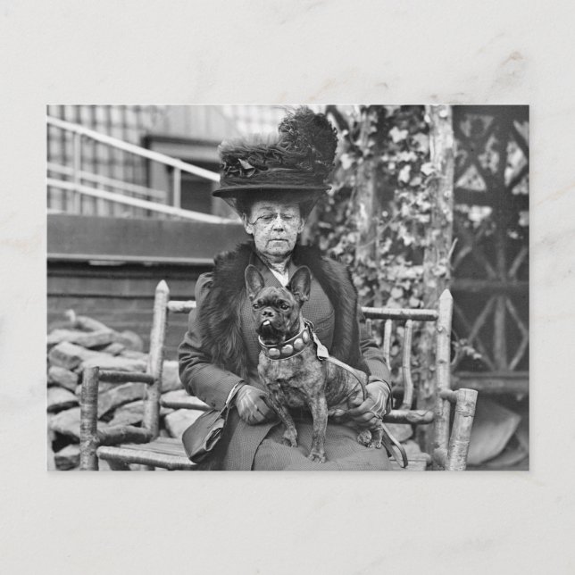 Cartão Postal Champion French Bulldog, 1920 (Frente)