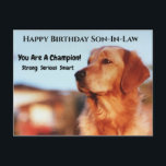 Cartão Postal Champion Son-in-law, Ouro de aniversário<br><div class="desc">Você é um campeão! Se seu genro é fã de ouros,  ele apreciará este cartão postal de aniversário incrível. "Forte,  séria,  inteligente" envia uma mensagem amável a todas as caras.</div>