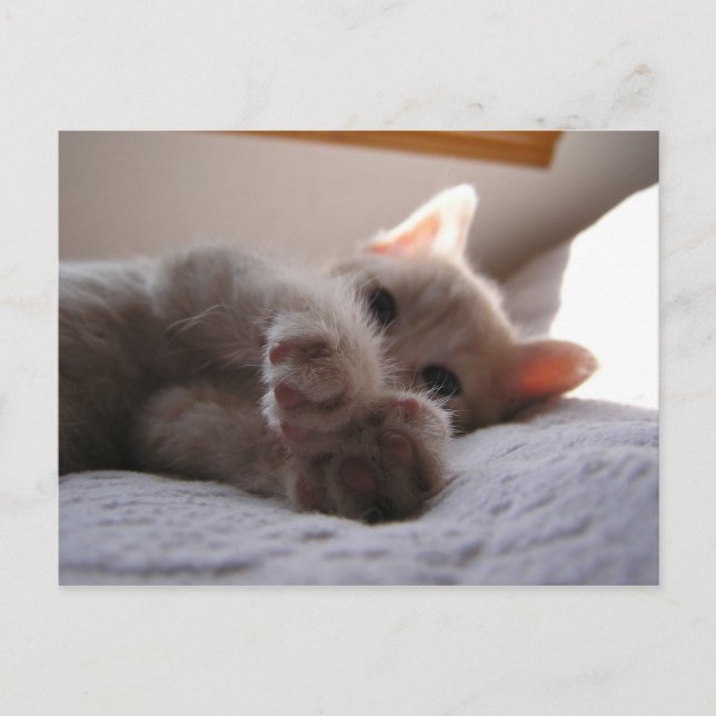 Cartão Postal Chandler (Frente)