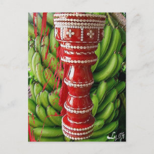 CARTÃO POSTAL CHANGO RACIMO BATEA