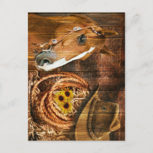 Cartão Postal Chapéu de Cowboy de Cavalo Girassóis Quadro de Cel