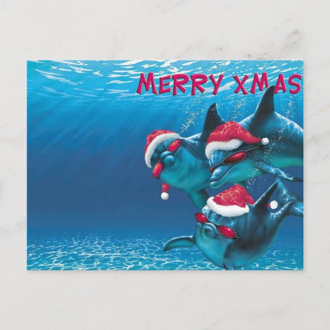Cartão Postal Chapéu de Papai Noel de Golfinho Natal Divertido (Frente)
