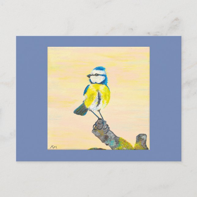 Cartão Postal Chapim-azul (Frente)