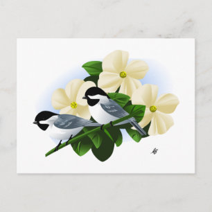 Cartão Postal Chapins e Flor de Corniso