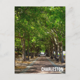 Cartão Postal Charelston South Carolina Ravenel Waterfront Park