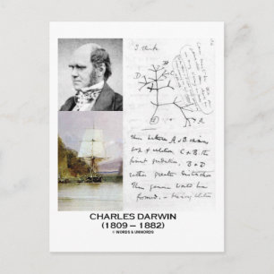 Cartão Postal Charles Darwin (Darwin HMS Beagle Phylogenetics)