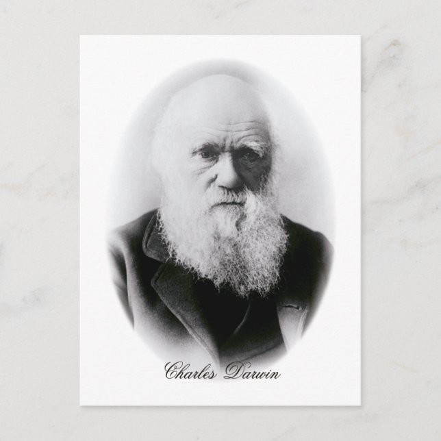 Cartão Postal Charles Darwin Vignette (Frente)