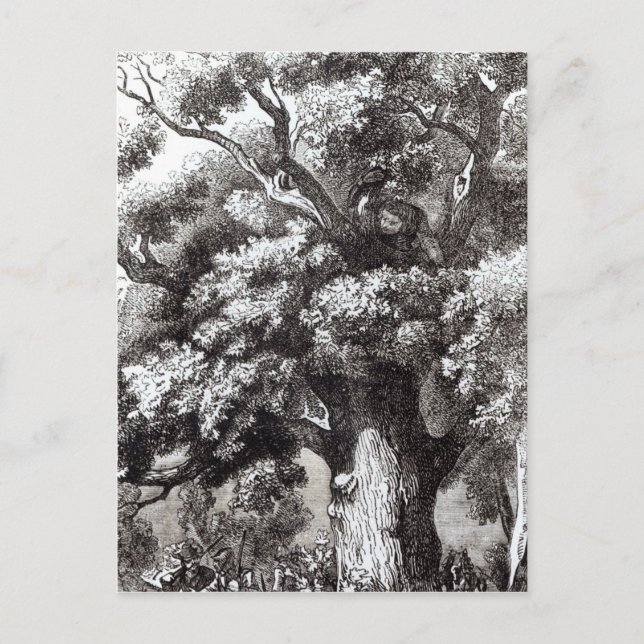 Cartão Postal Charles II escondido na árvore de carvalho (Frente)