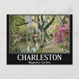 Cartão Postal Charleston, Magnolia Gardens, Vintage