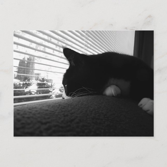 Cartão Postal Charlie Olhando A Janela (Frente)