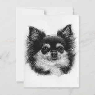 Cartão Postal Charmalho Chihuahua Trabalho de arte pintado à mão